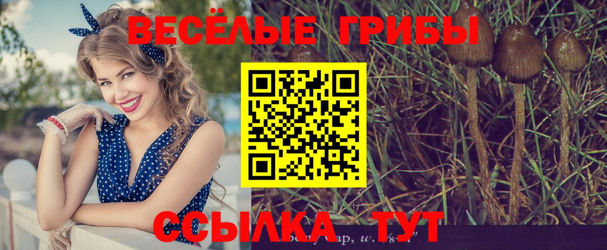 Галлюциногенные грибы GOLDEN TEACHER Елец